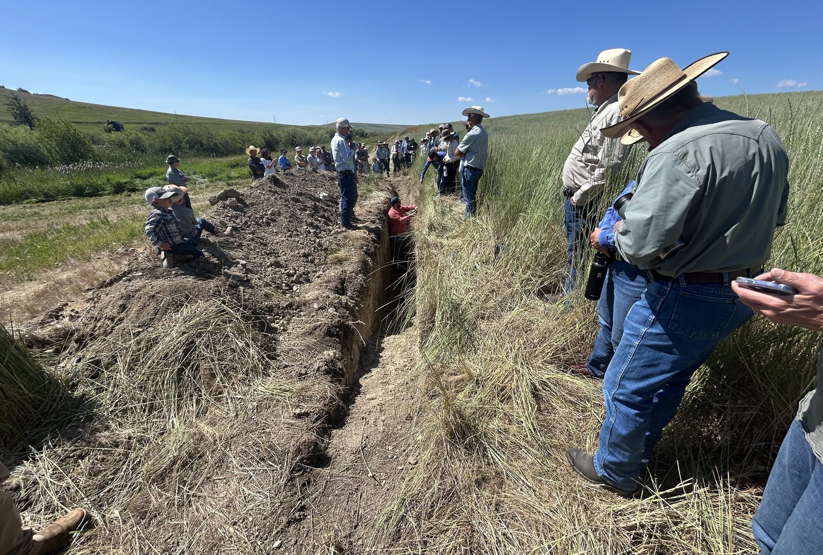 Montana ranchers gathered around a soil pit at a field day